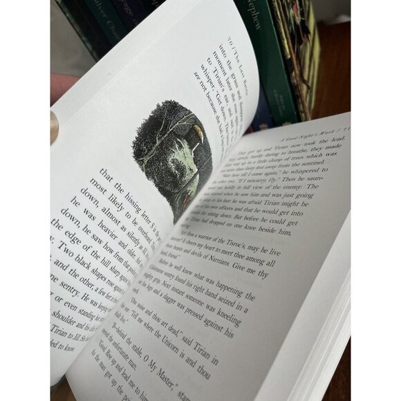 Chronicles of Narnia Set.: The Chronicles of Narnia Full-Color Paperback 7-Book - Picture 14 of 16